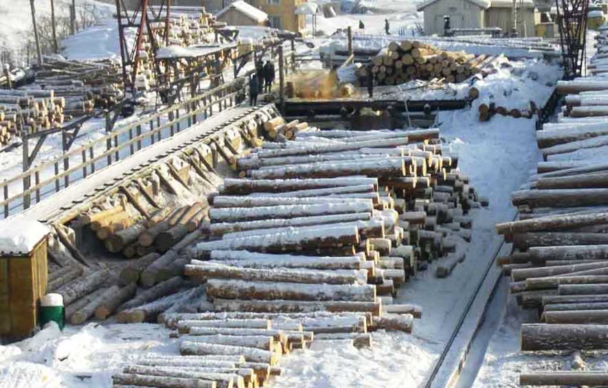 собственное производство дров в Дмитрове